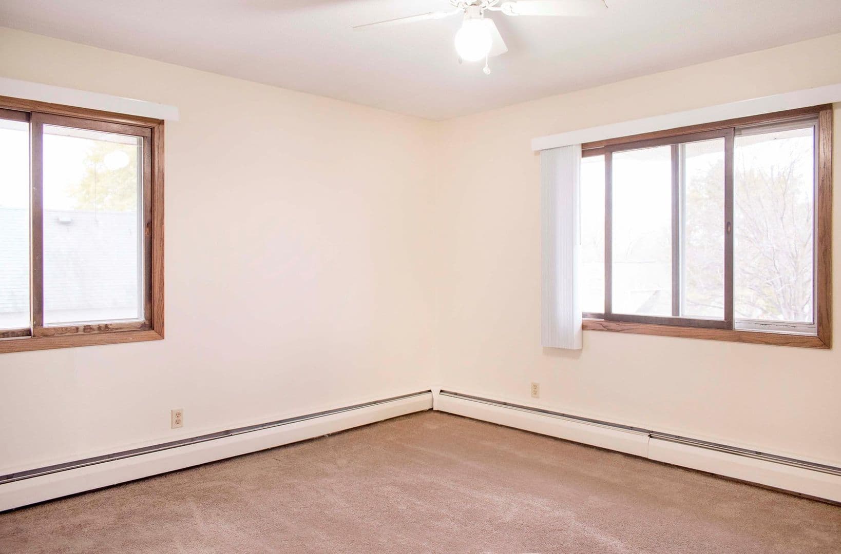 Waconia Apartment: 245 Elm Street South