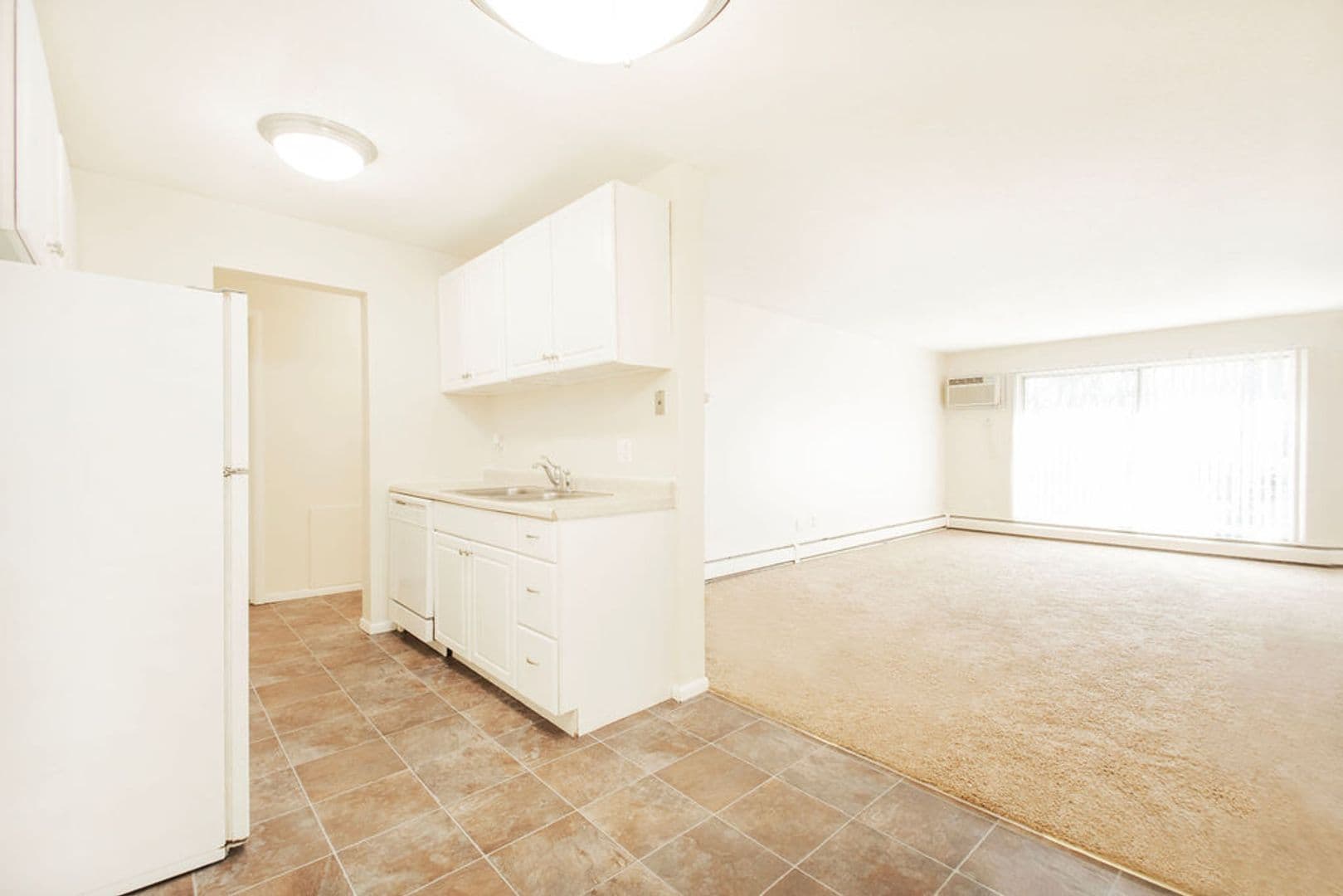 Excelsior Apartment: 832 3rd Ave S