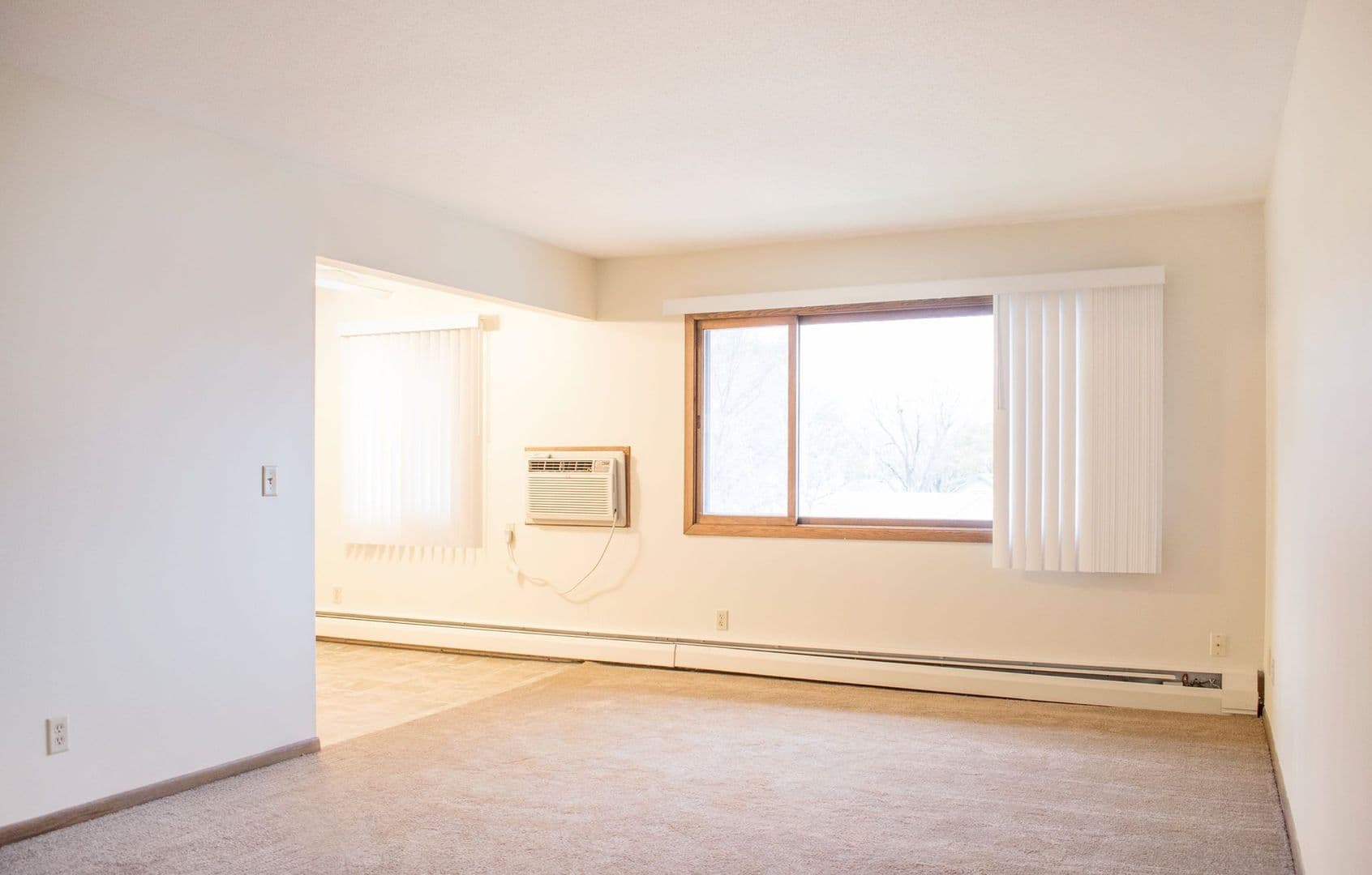 Waconia Apartment: 245 Elm Street South