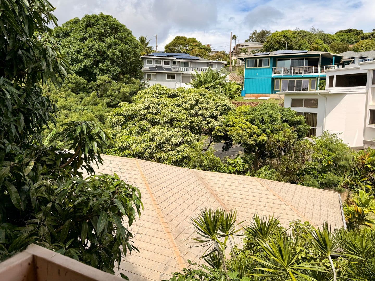 Honolulu House: 3739A Mariposa Dr.