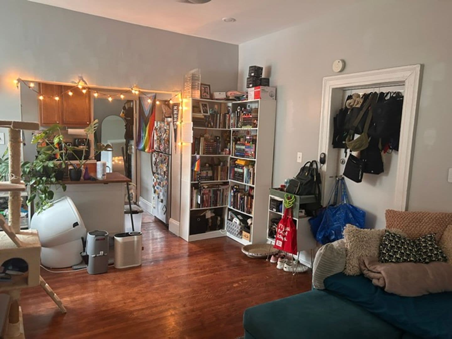 Pittsburgh Apartment: 5533 Black St