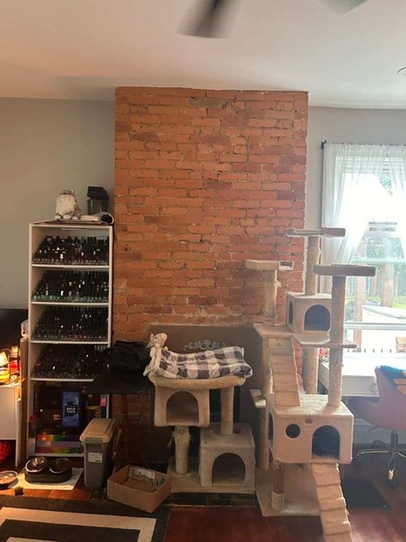 Pittsburgh Apartment: 5533 Black St