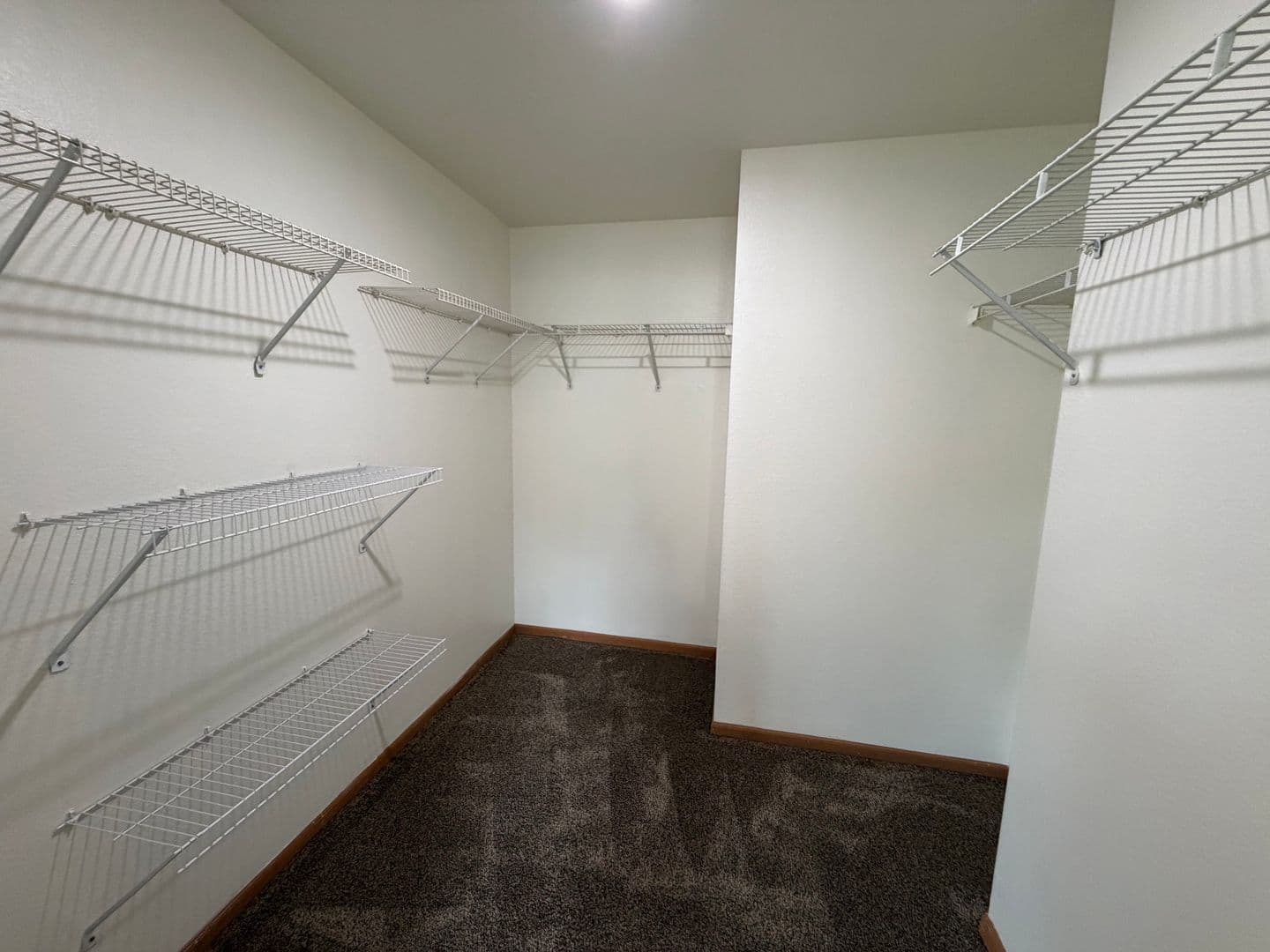 Slinger Apartment: 313 & 323 James St