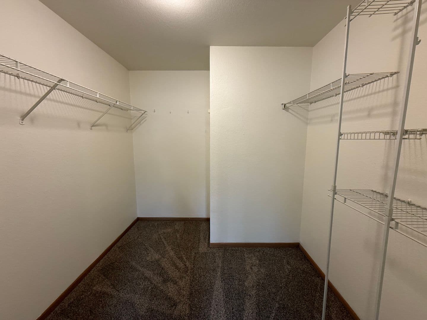 Slinger Apartment: 313 & 323 James St