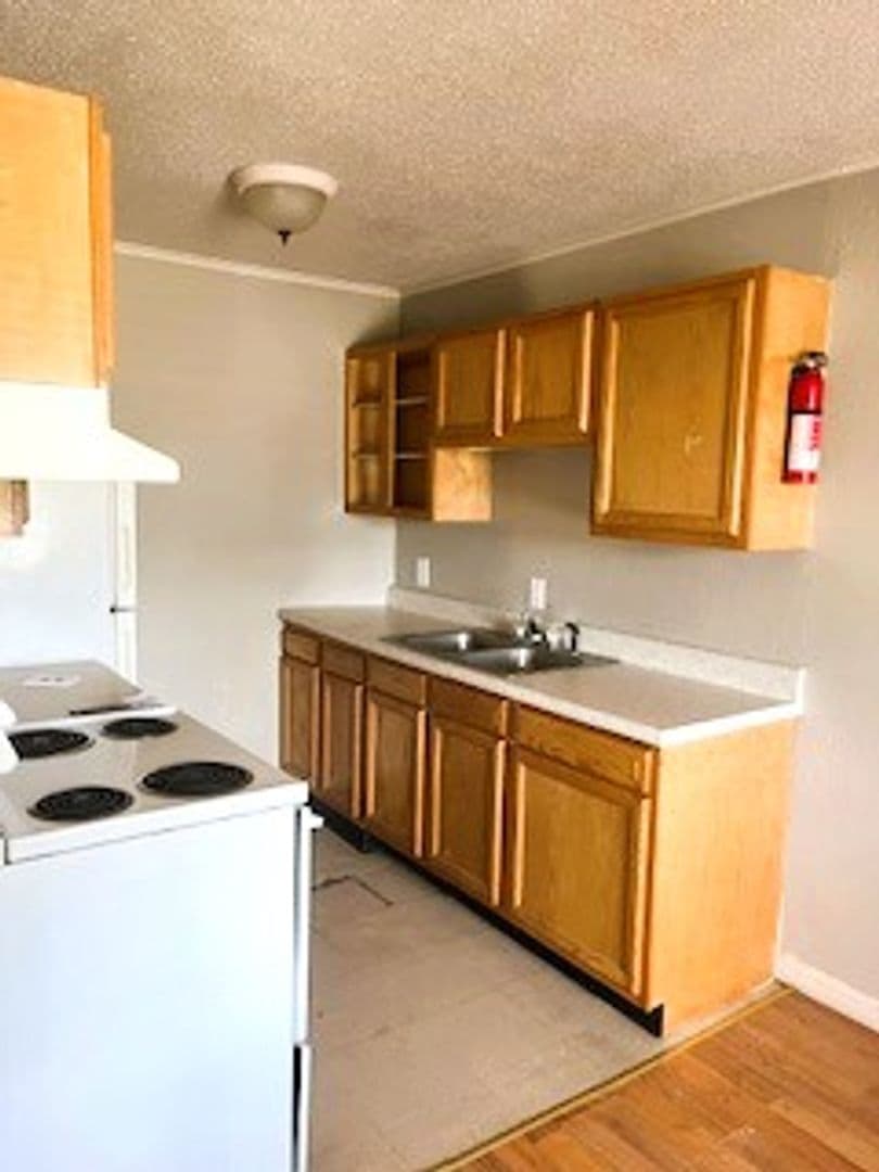 VAN BUREN Apartment: 309 SOUTH 3RD STREET