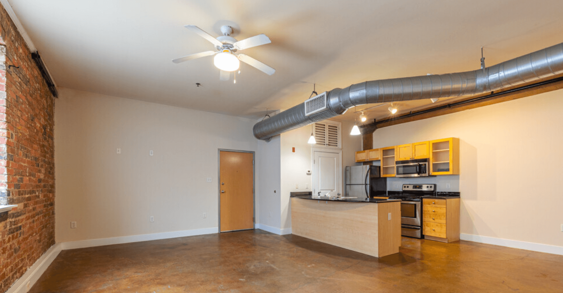 Petersburg Apartment: 214 N. Dunlop Street