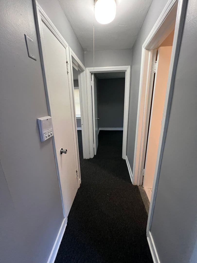 Chicago Apartment: 4208 S Michigan Ave