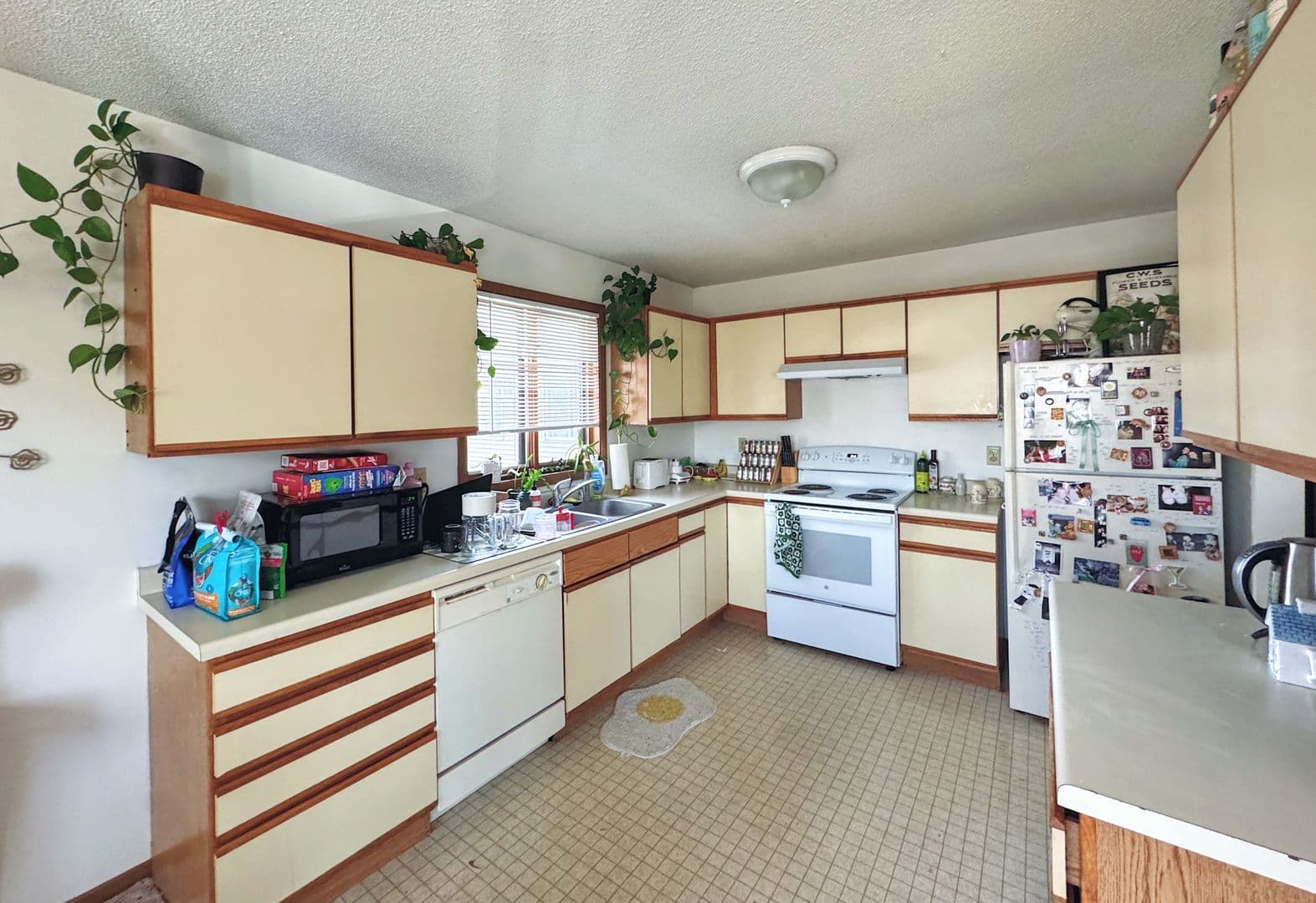 Minneapolis Apartment: 799 Weeks Avenue SE