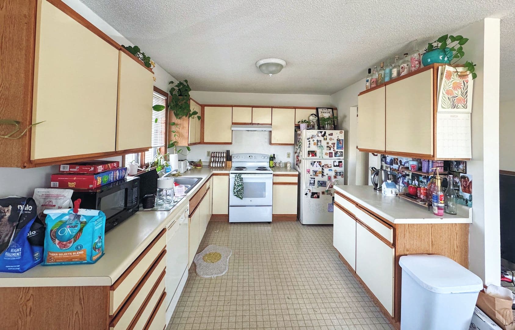 Minneapolis Apartment: 799 Weeks Avenue SE