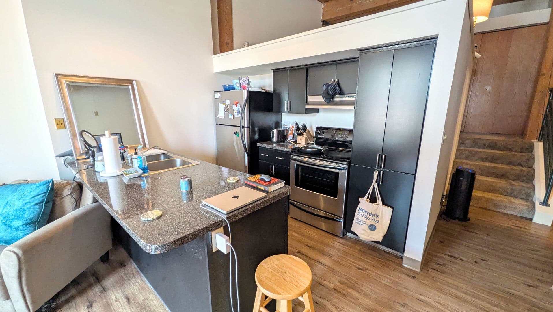 Minneapolis Apartment: 210 N 2nd Street #306