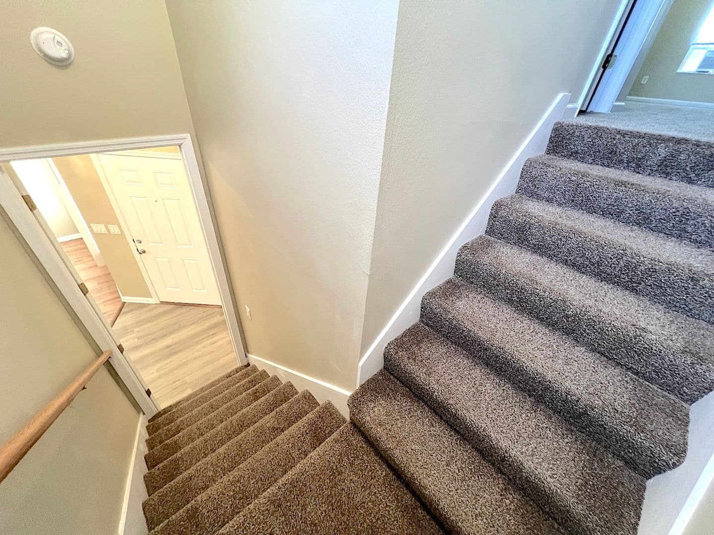 Palm Coast House: 20 Regis Ln
