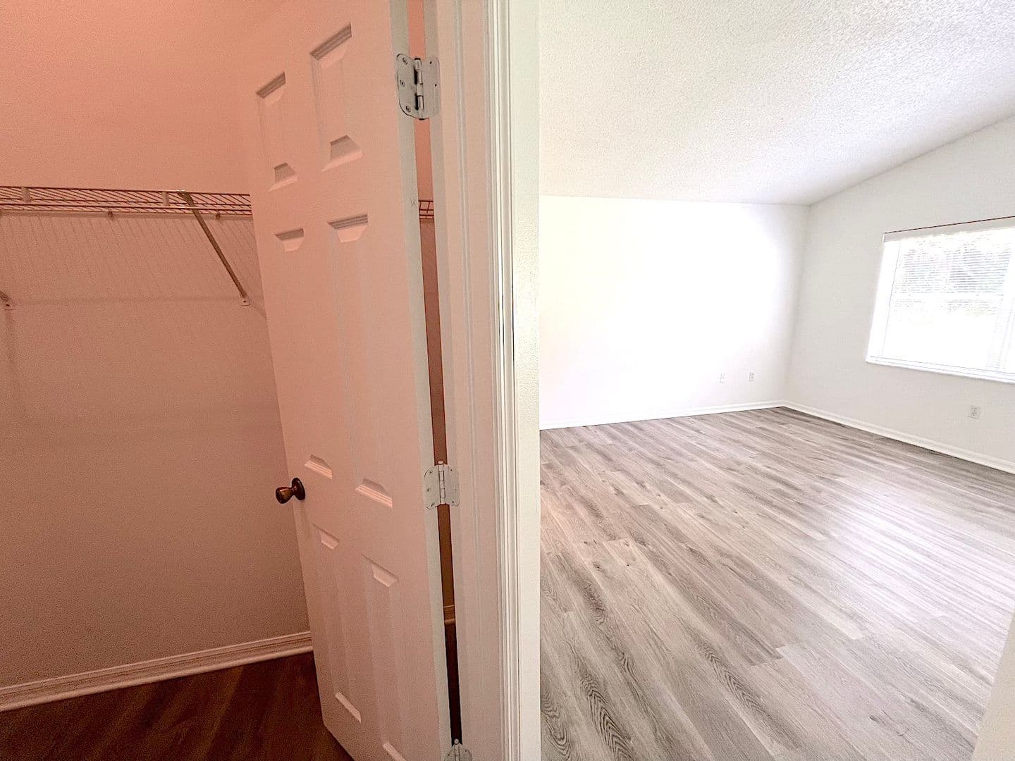Palm Coast House: 113 Eastwood Dr