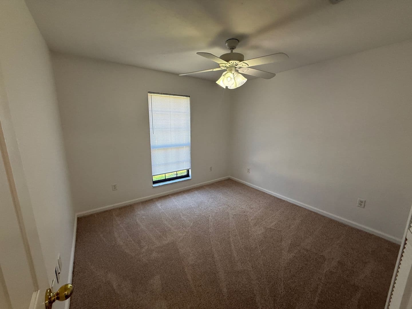 Tallahassee Townhome: 886 Meginnis Lane