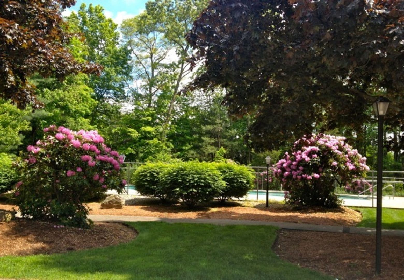 Foxboro Apartment: 169 Chestnut St.