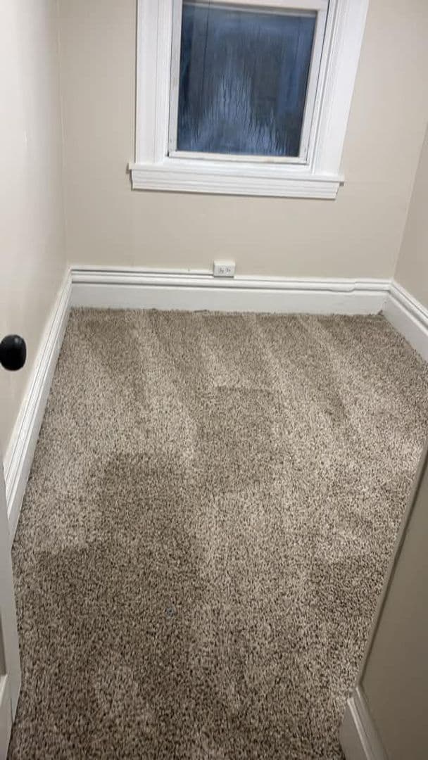 Pittsburgh Apartment: 519 Margaret St