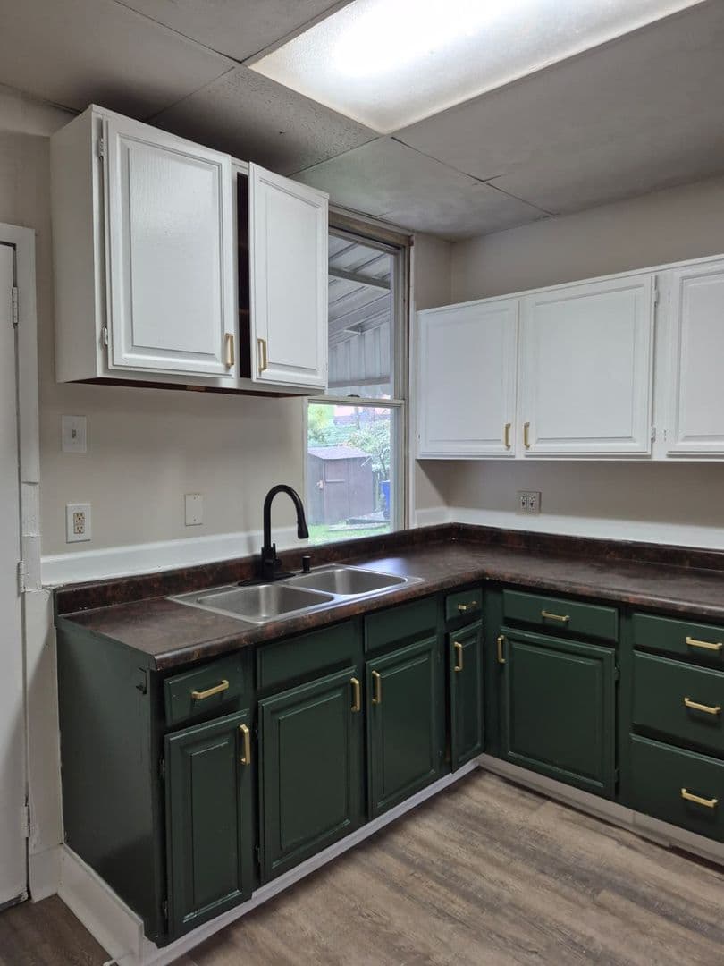Pittsburgh House: 1701 Leolyn St
