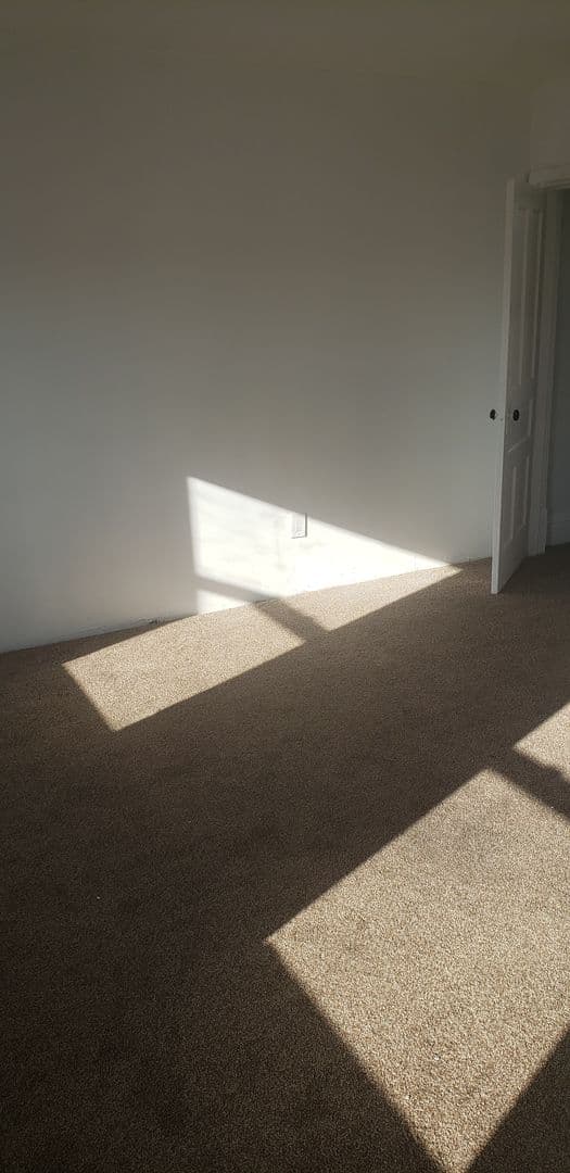 Braddock Apartment: 513 Stokes Avenue