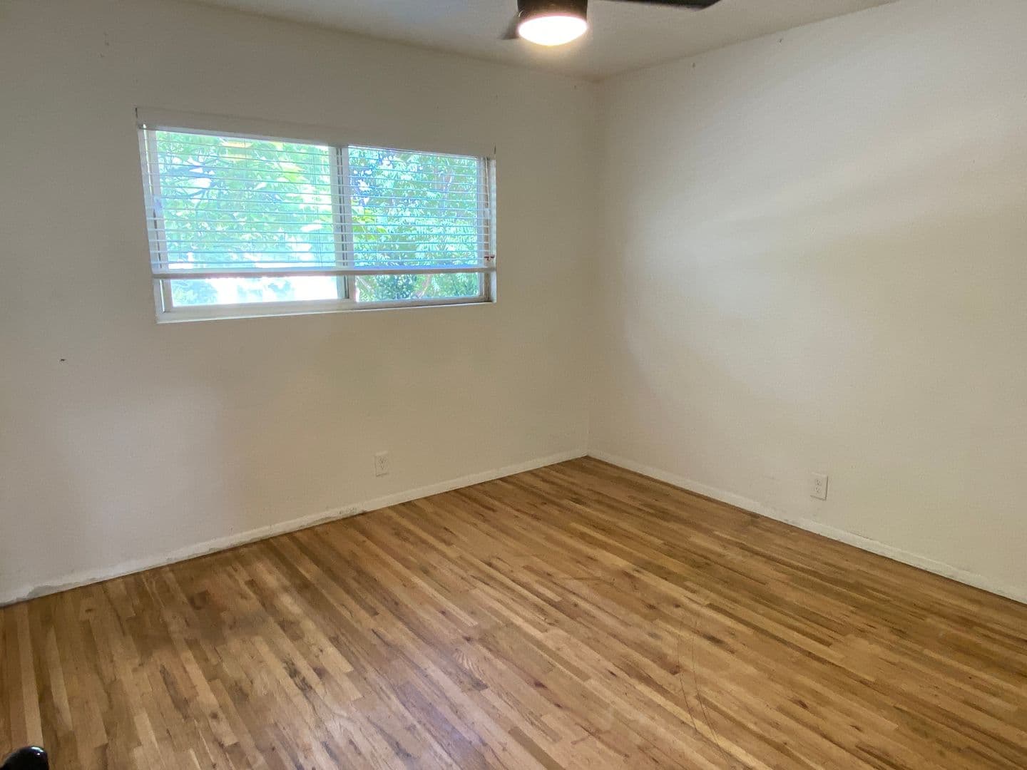 Albuquerque House: 1612 Princeton Dr SE