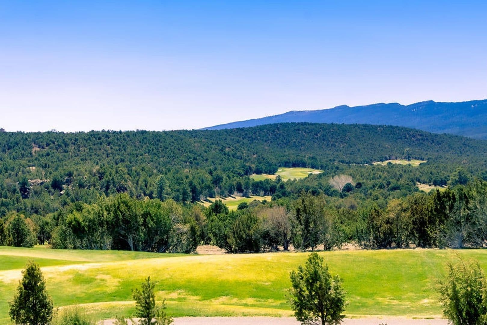 Sandia Park House: 31 Hogan Ct
