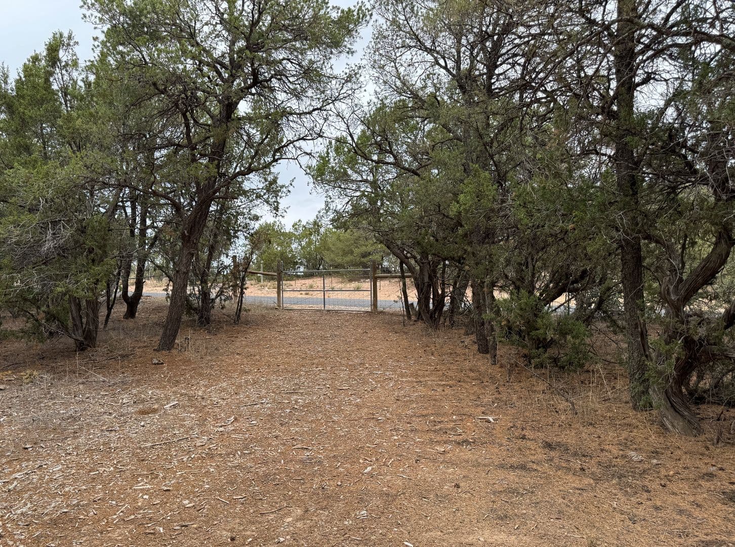 Tijeras House: 20 B Axton Ln