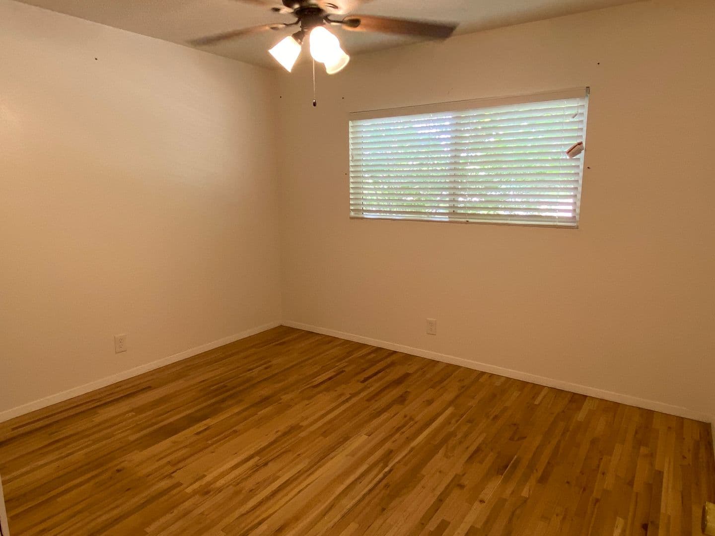 Albuquerque House: 1612 Princeton Dr SE
