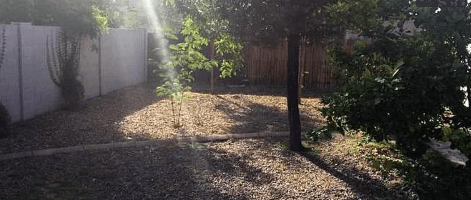 Phoenix House: 1325 W Woodland Ave