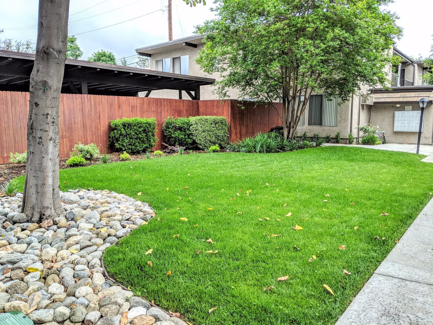 Monrovia Apartment: 115 N. Myrtle Avenue