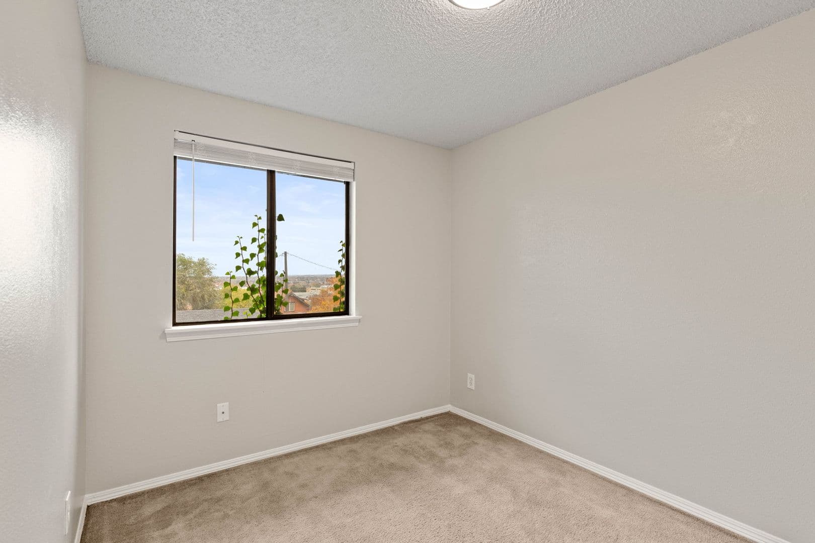 Spokane Apartment: 731 S Hatch St