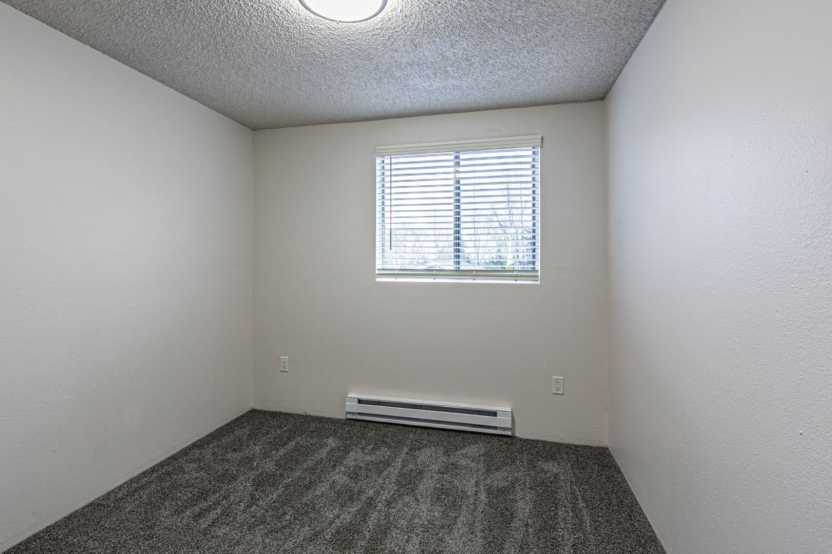 Tacoma Apartment: 6830 Tacoma Mall Blvd