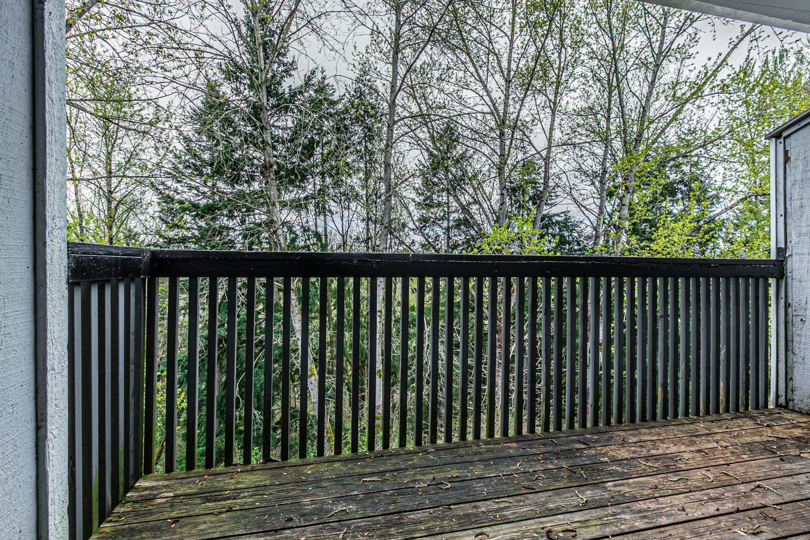 Tacoma Apartment: 6830 Tacoma Mall Blvd