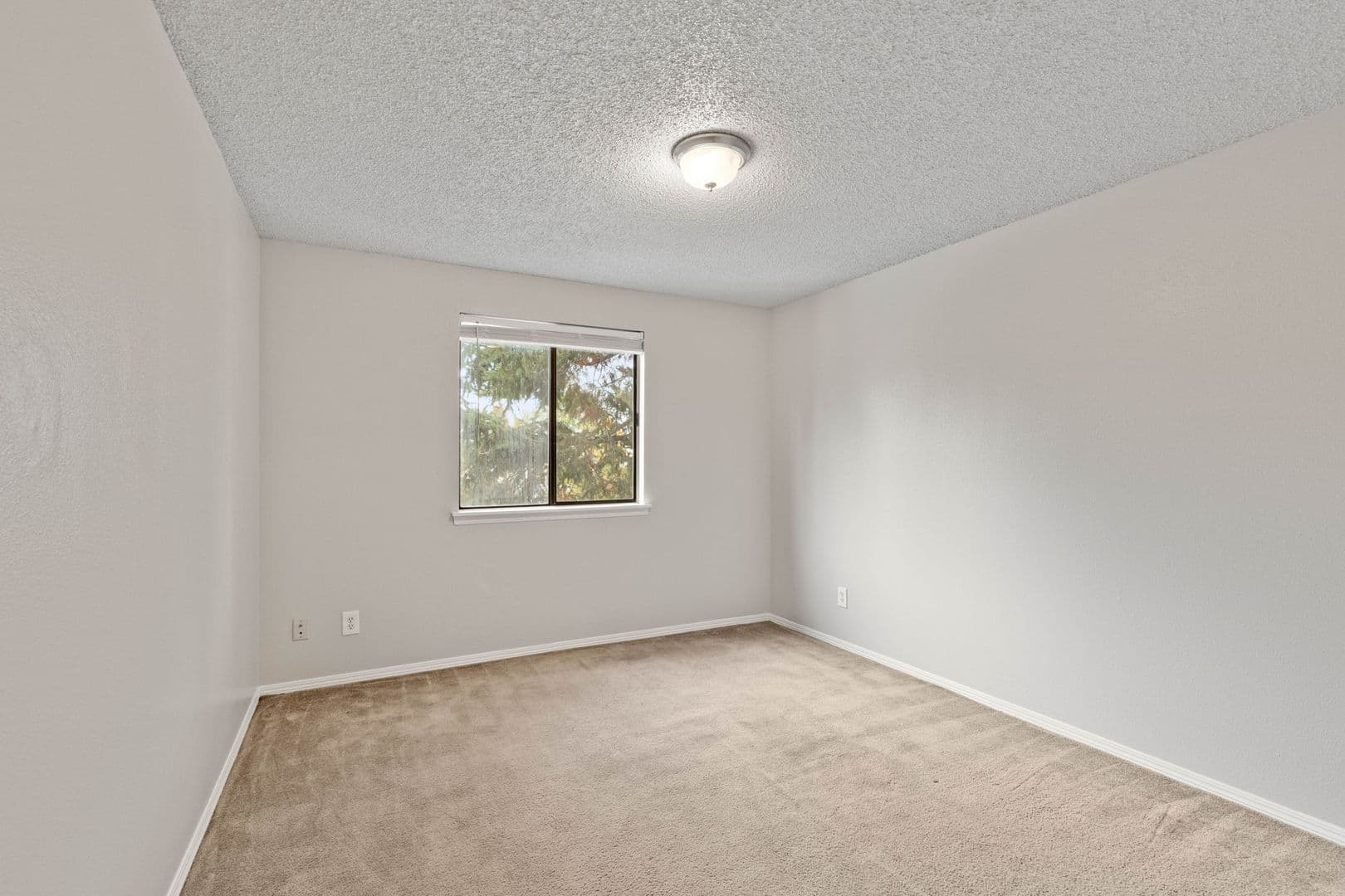 Spokane Apartment: 731 S Hatch St