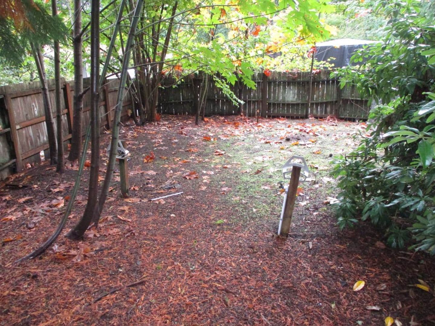 Gig Harbor House: 7507 Skansie Ave, Unit B