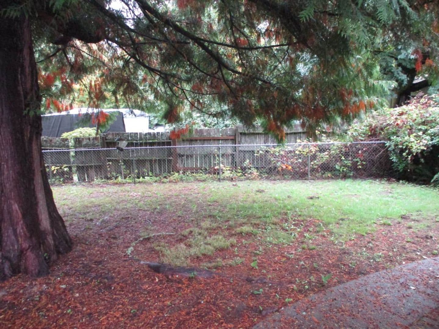 Gig Harbor House: 7507 Skansie Ave, Unit B