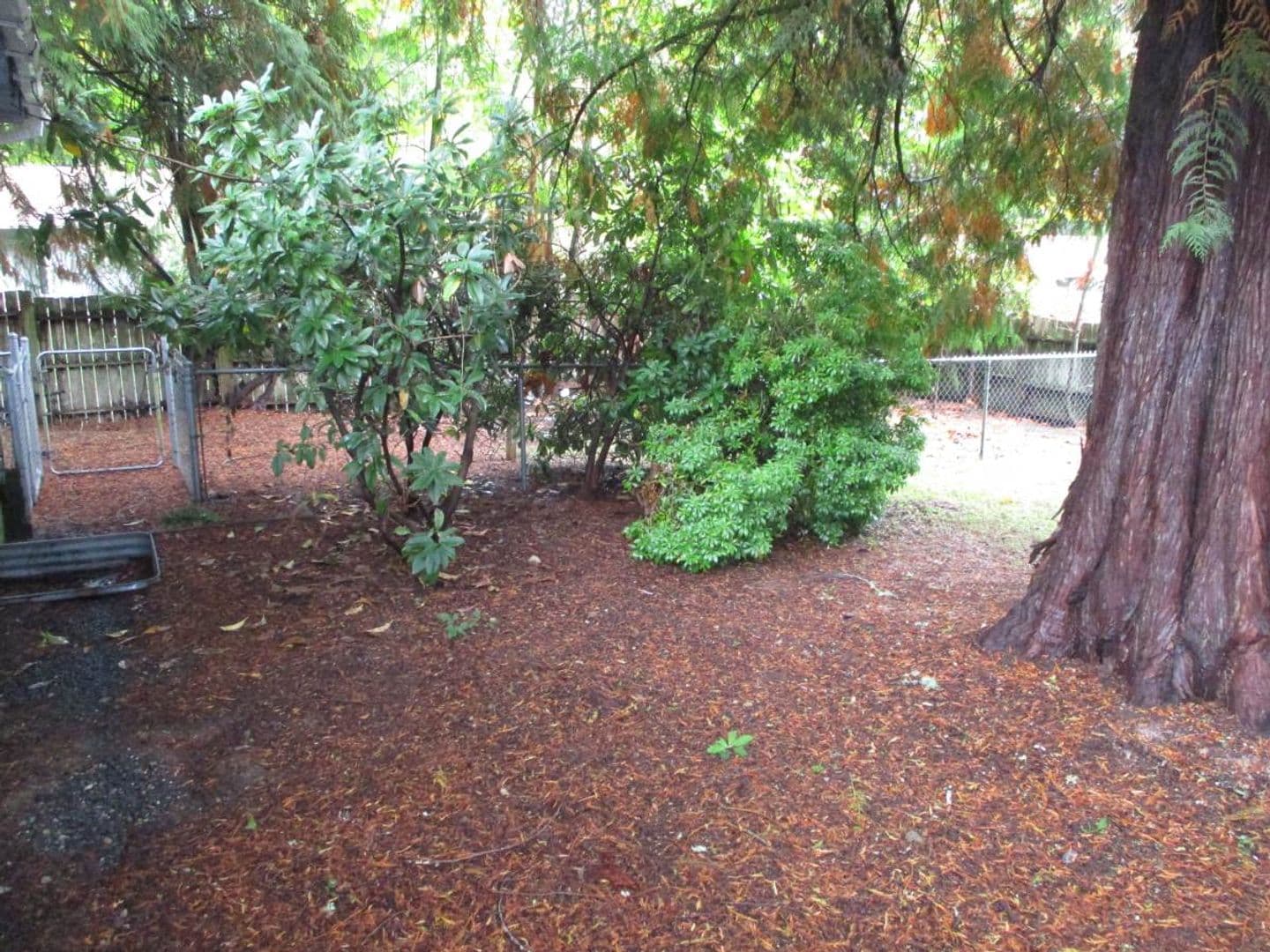 Gig Harbor House: 7507 Skansie Ave, Unit B
