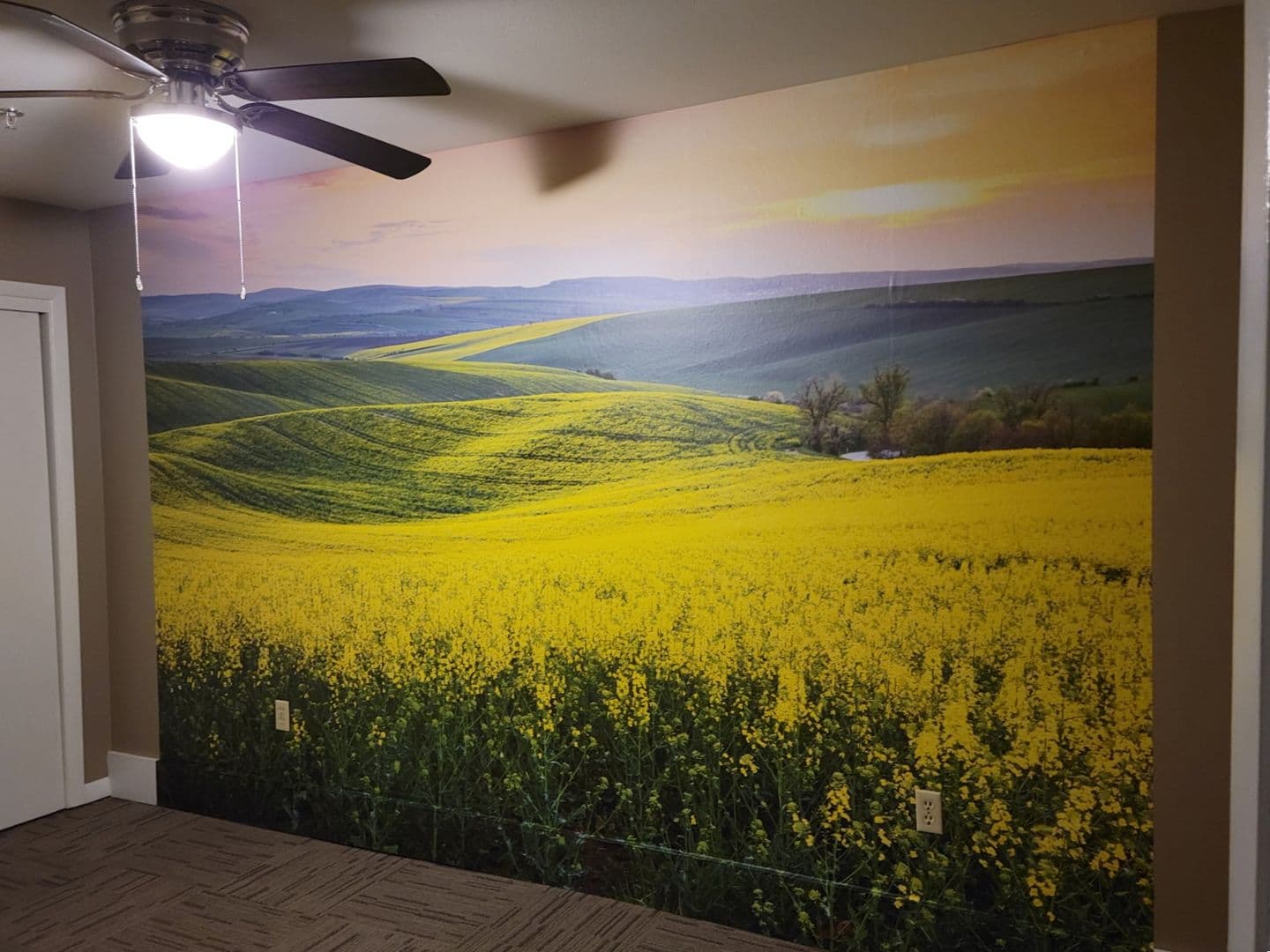 Boone Apartment: 815 Story