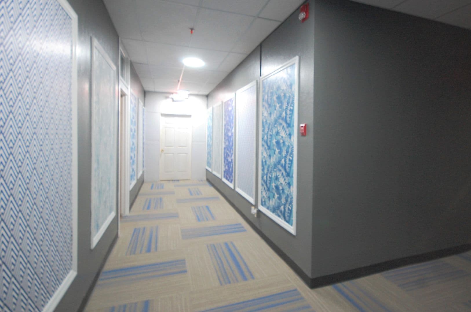Boone Apartment: 814 8th St.