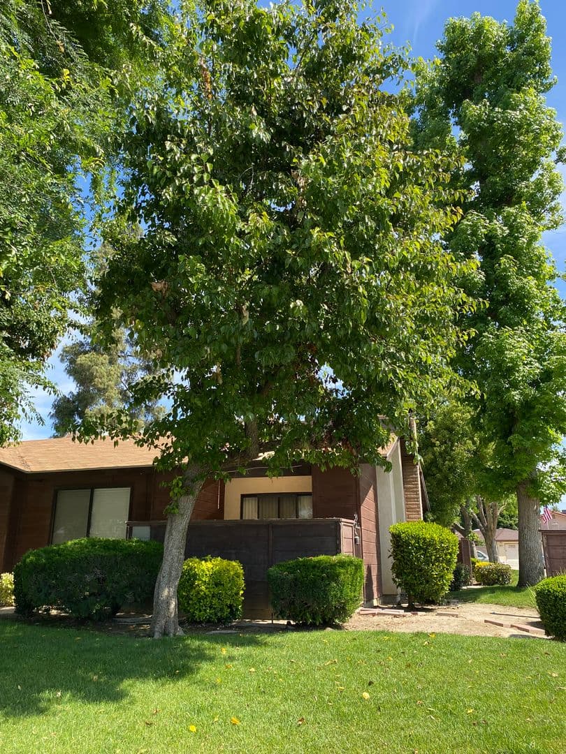 Bakersfield Apartment: 7604 N. Laurelglen Blvd.