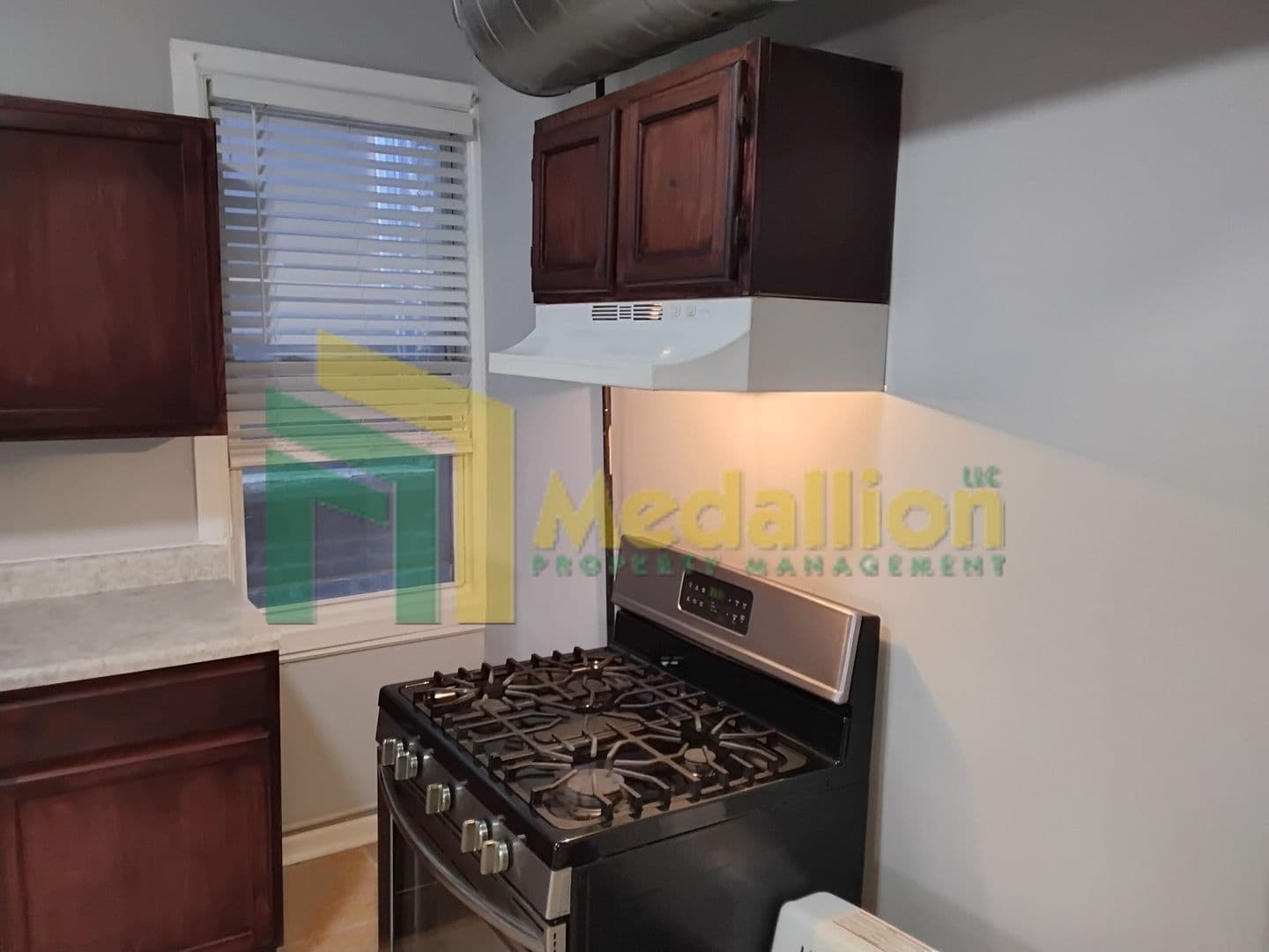 Chicago Apartment: 1241 N Ashland Ave (2nd Fl Rear)