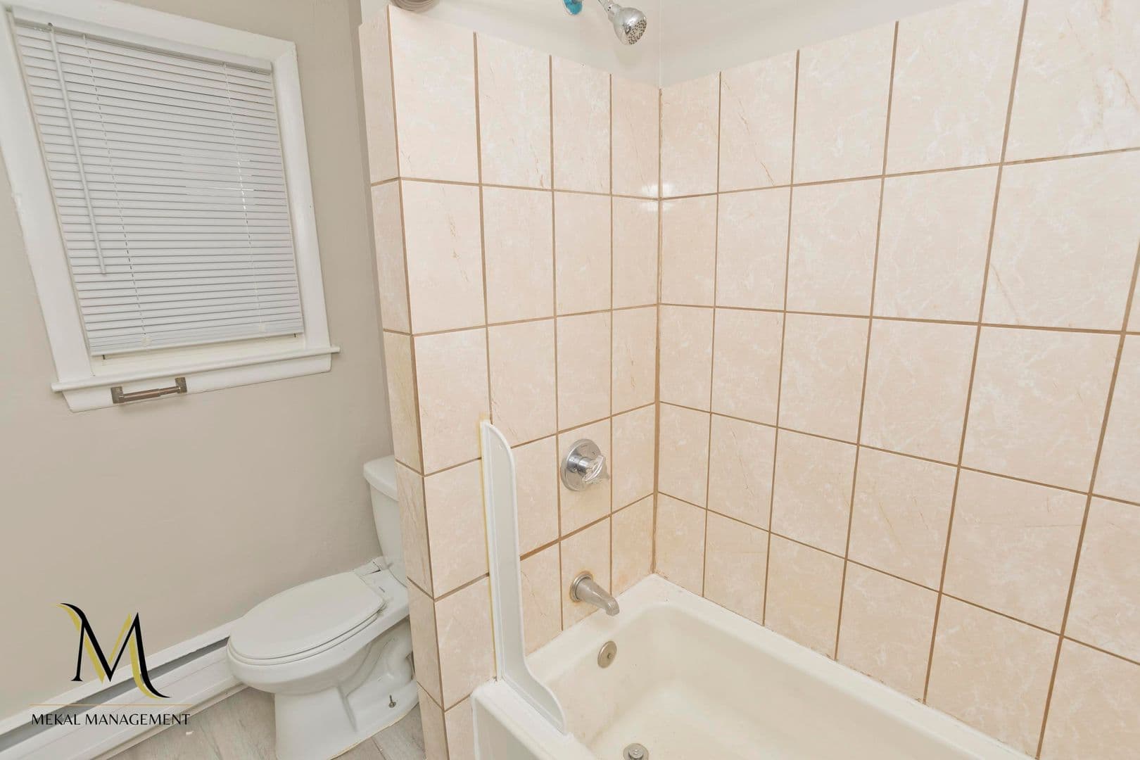Ludlow Apartment: 129-139 Hubbard St