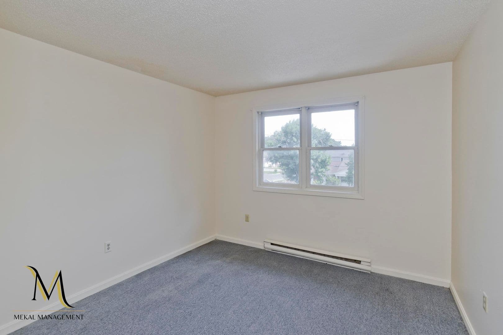 Springfield Apartment: 715-719 Berkshire Avenue