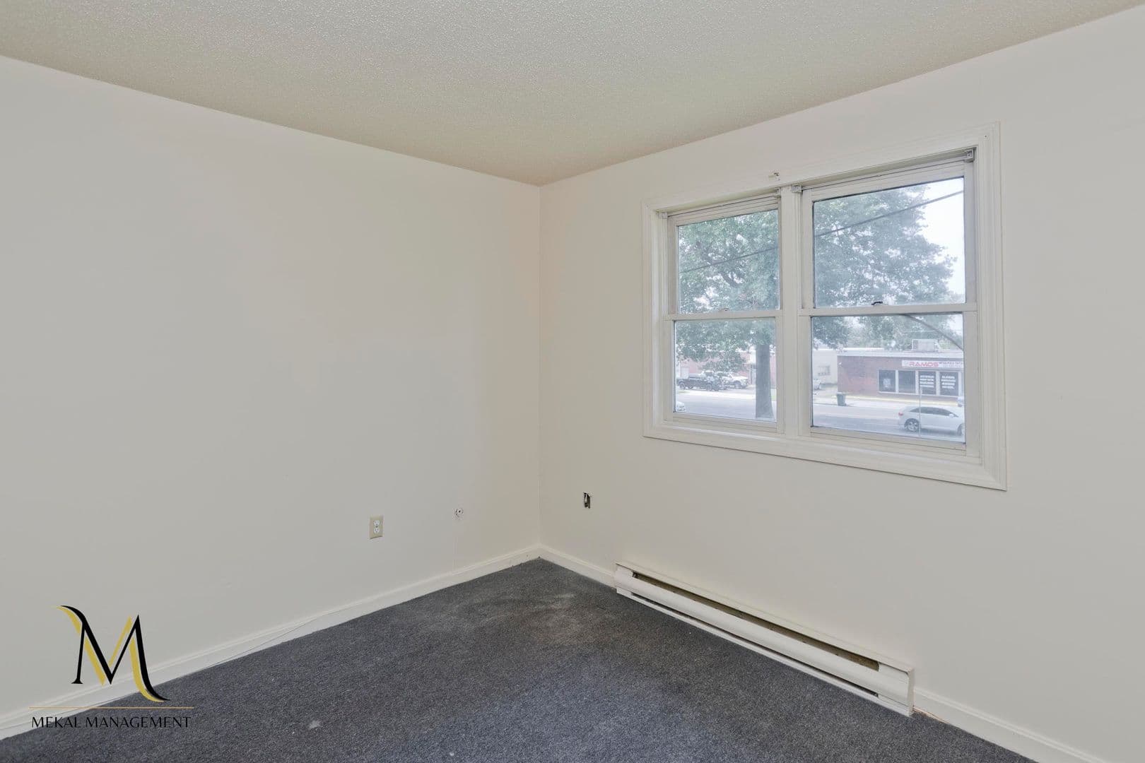 Springfield Apartment: 715-719 Berkshire Avenue