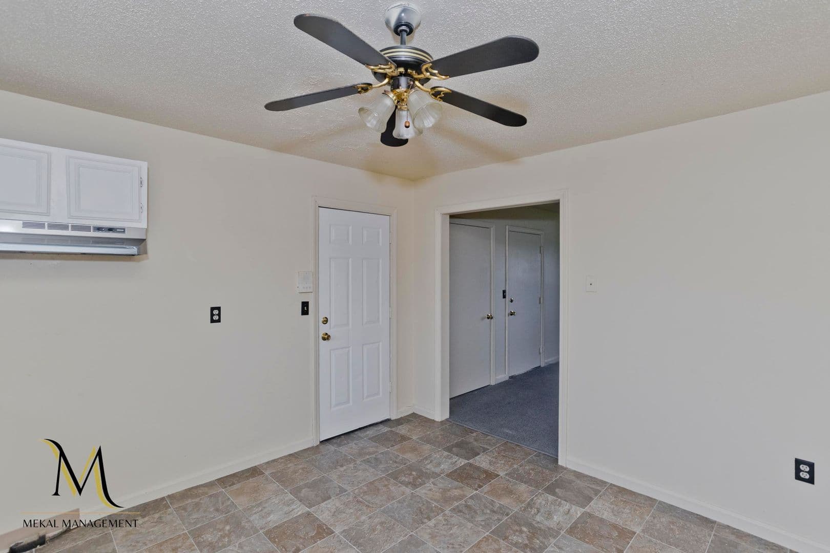 Springfield Apartment: 715-719 Berkshire Avenue