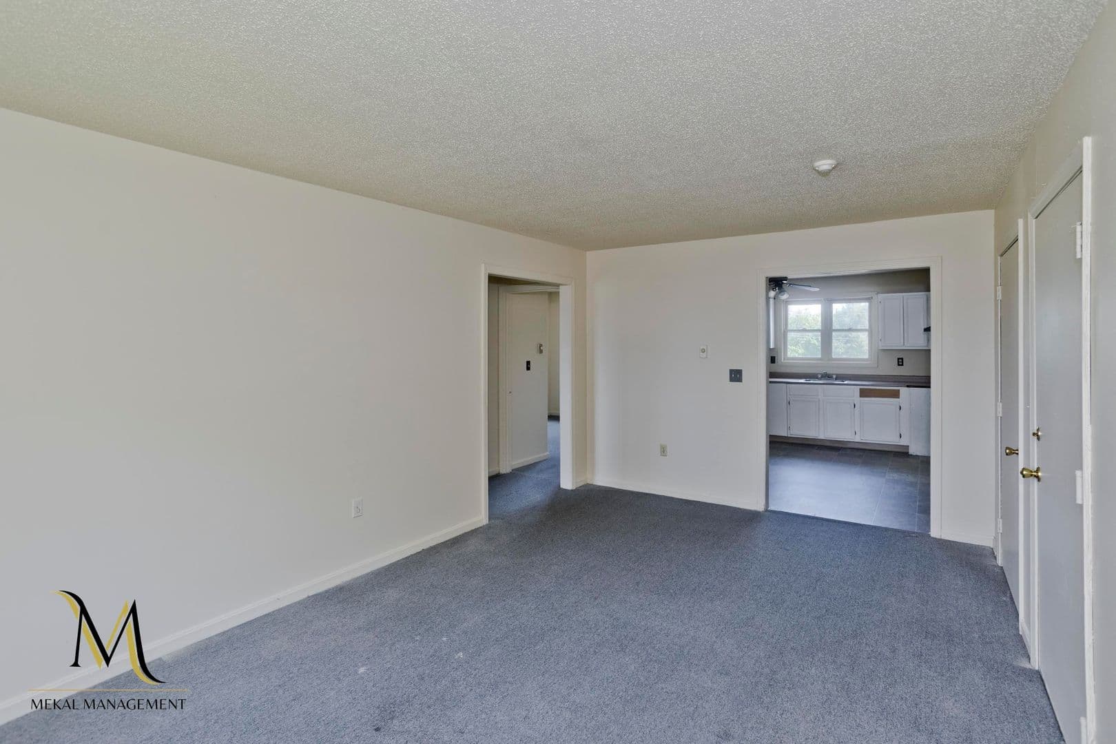 Springfield Apartment: 715-719 Berkshire Avenue