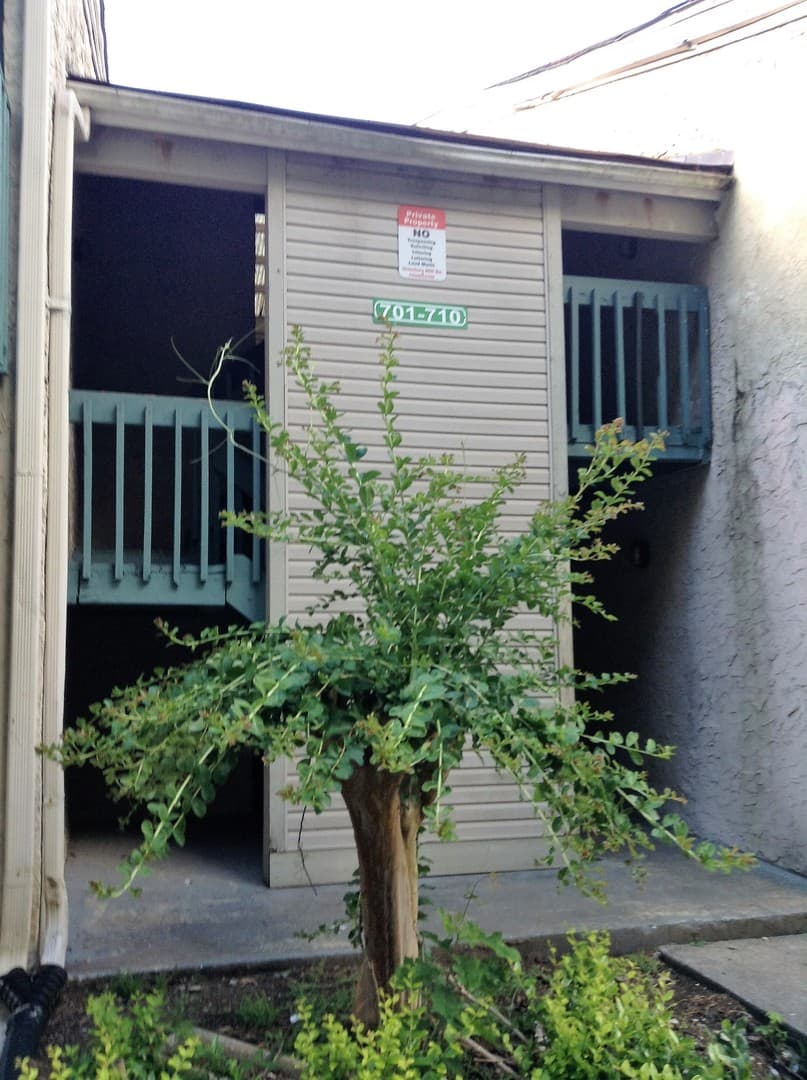 Decatur Condo: 3575 Oakvale Rd, Unit #708