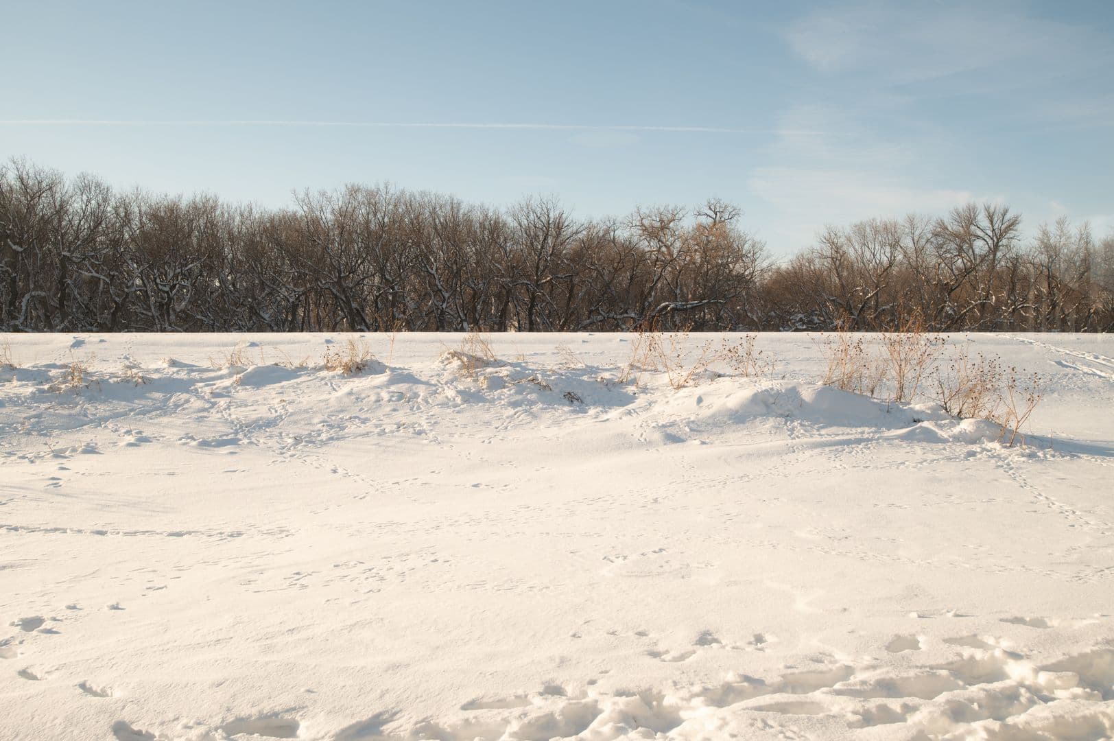 West Fargo House: 1360 Goldenwood Dr NW