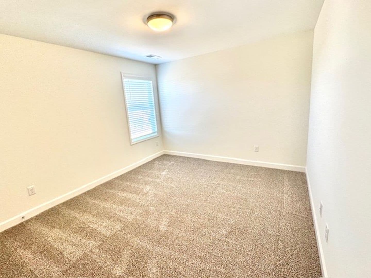 Oakland Apartment: 30 Hughetta St N