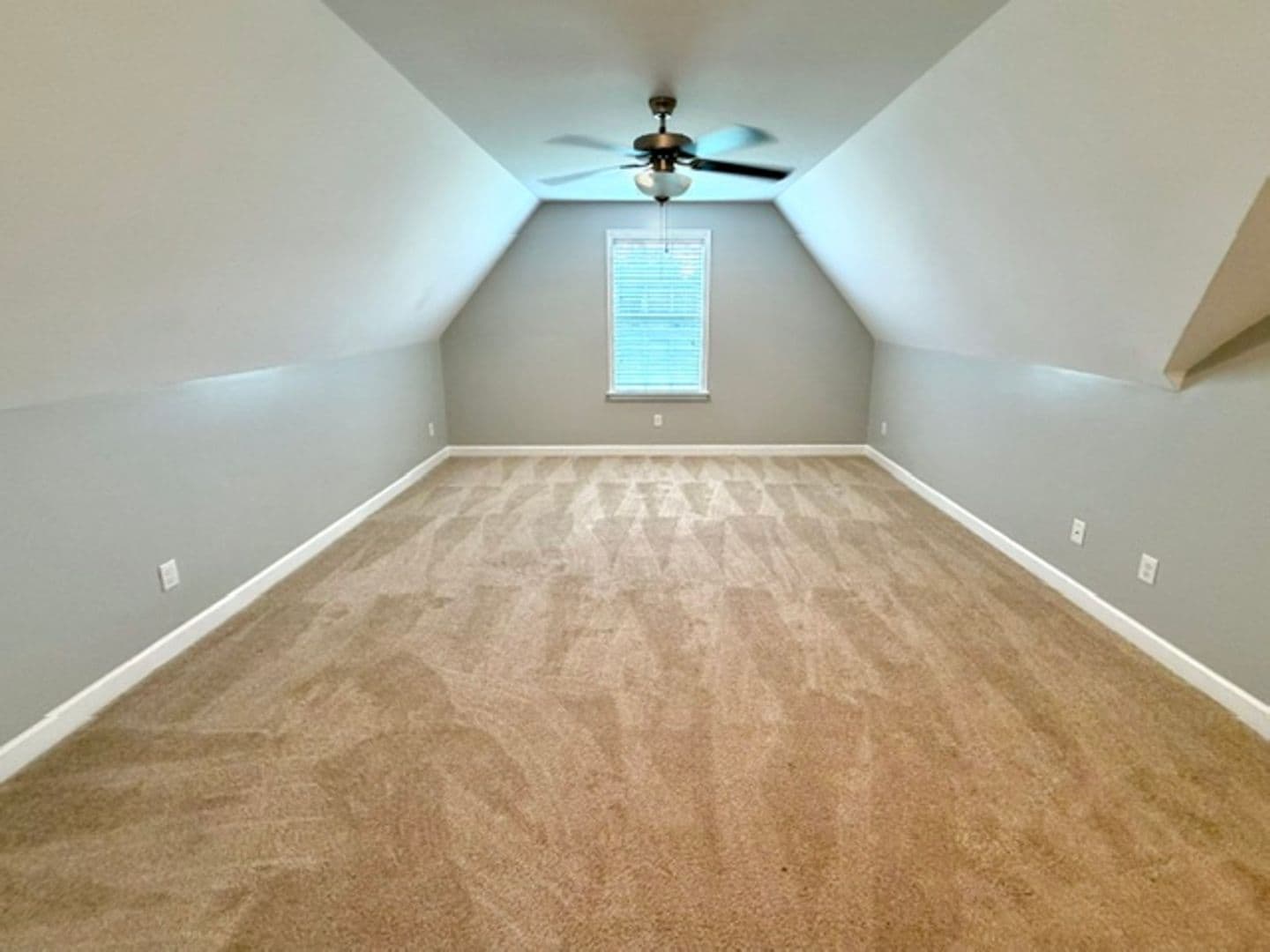 Olive Branch Apartment: 8618 Ainsley Cove