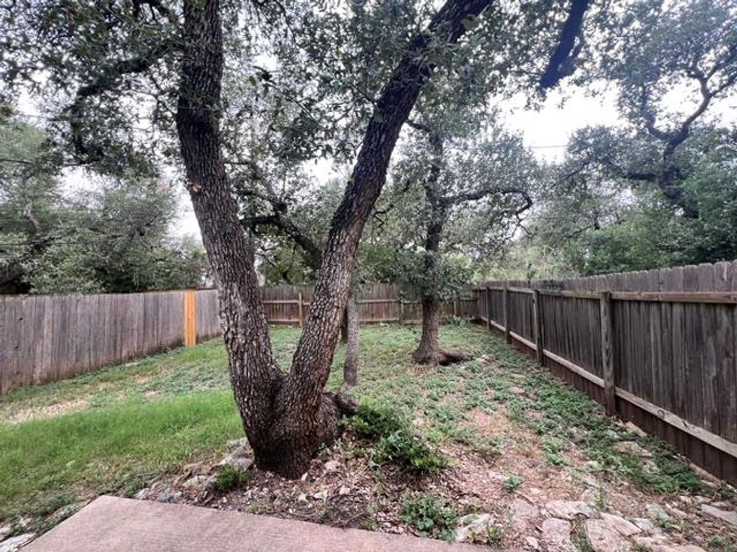 Austin House: 13330 Water Oak Lane, Unit A