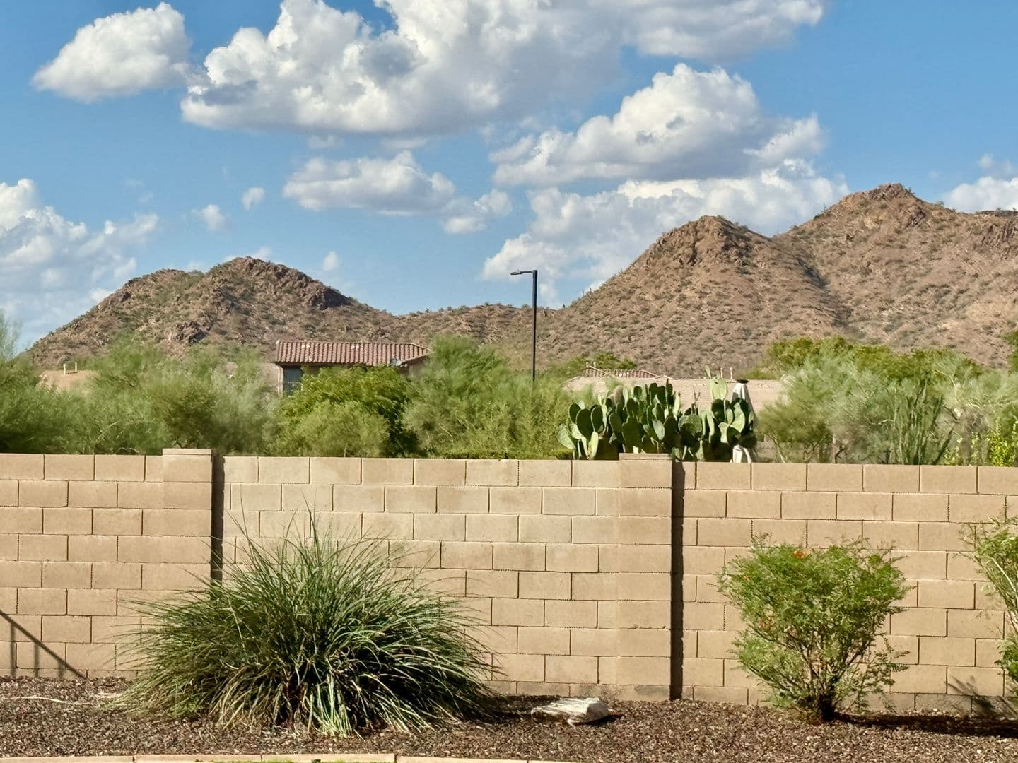 PHOENIX House: 33007 N 23RD AVE