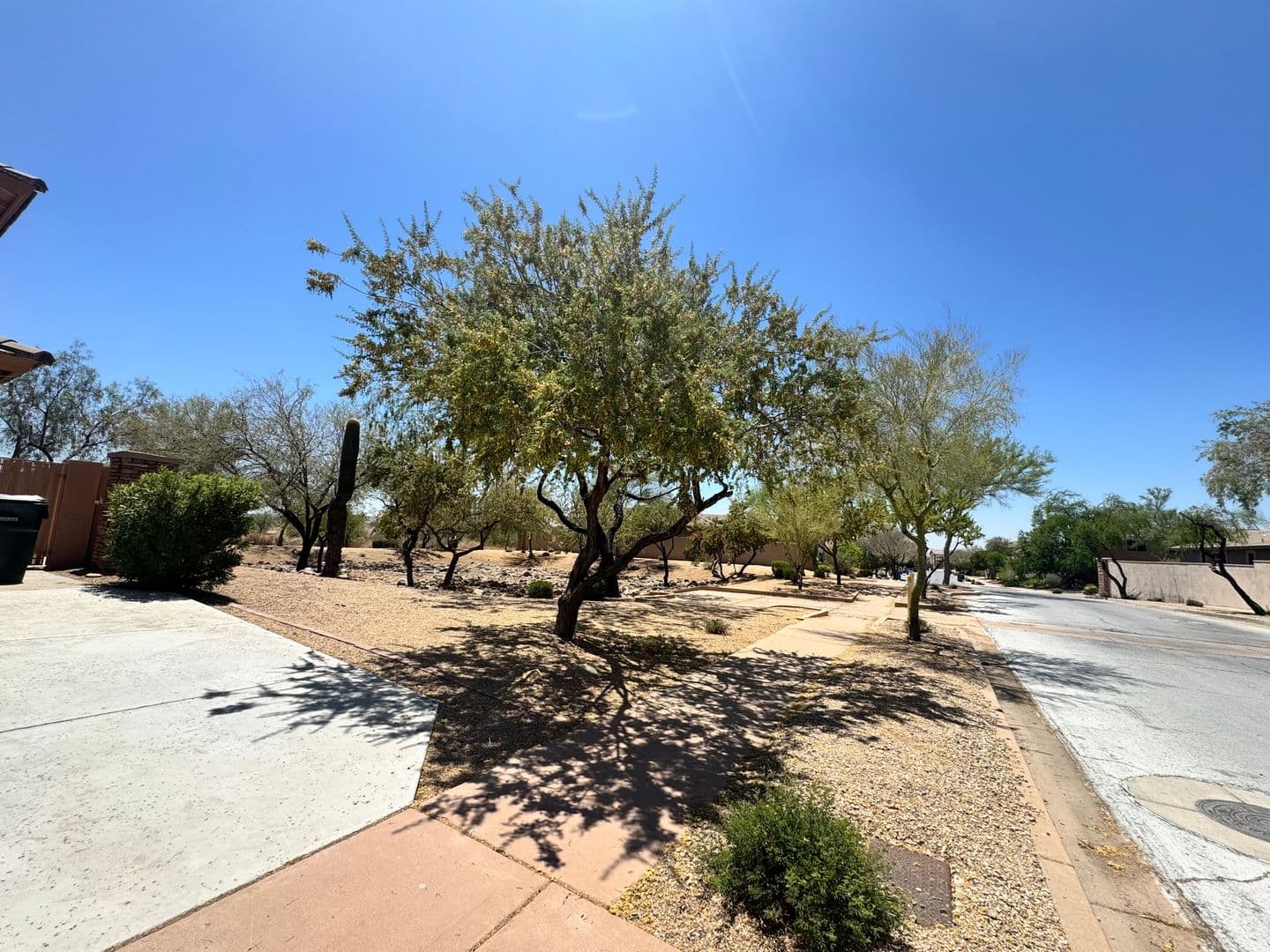 PHOENIX House: 2425 W FLORENTINE RD